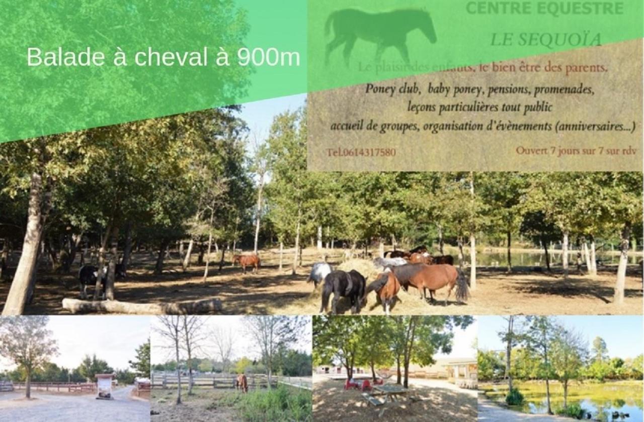 Le Grand Cottage Nature Piscine Chauffee Privee Du Tarn Entre Toulouse Et Albi & Les Cottages Du Tarn Peyrole المظهر الخارجي الصورة